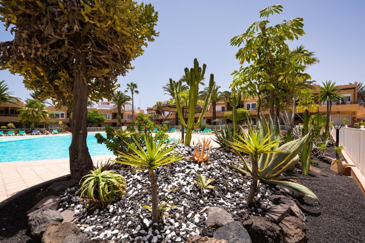 Home2Book Charming Sun & Dunes Apartment Corralejo Zewnętrze zdjęcie